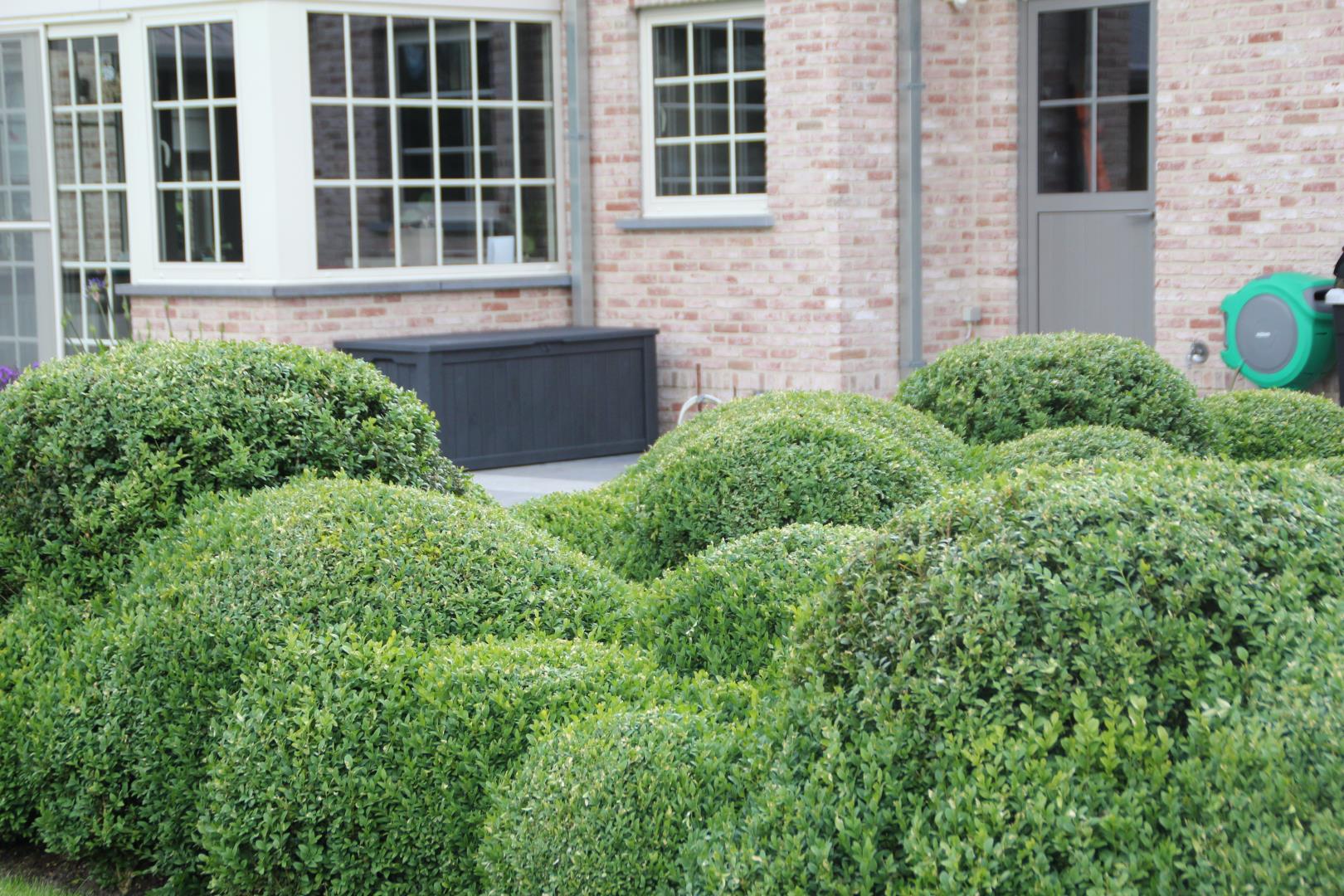 tuinenvanhove
